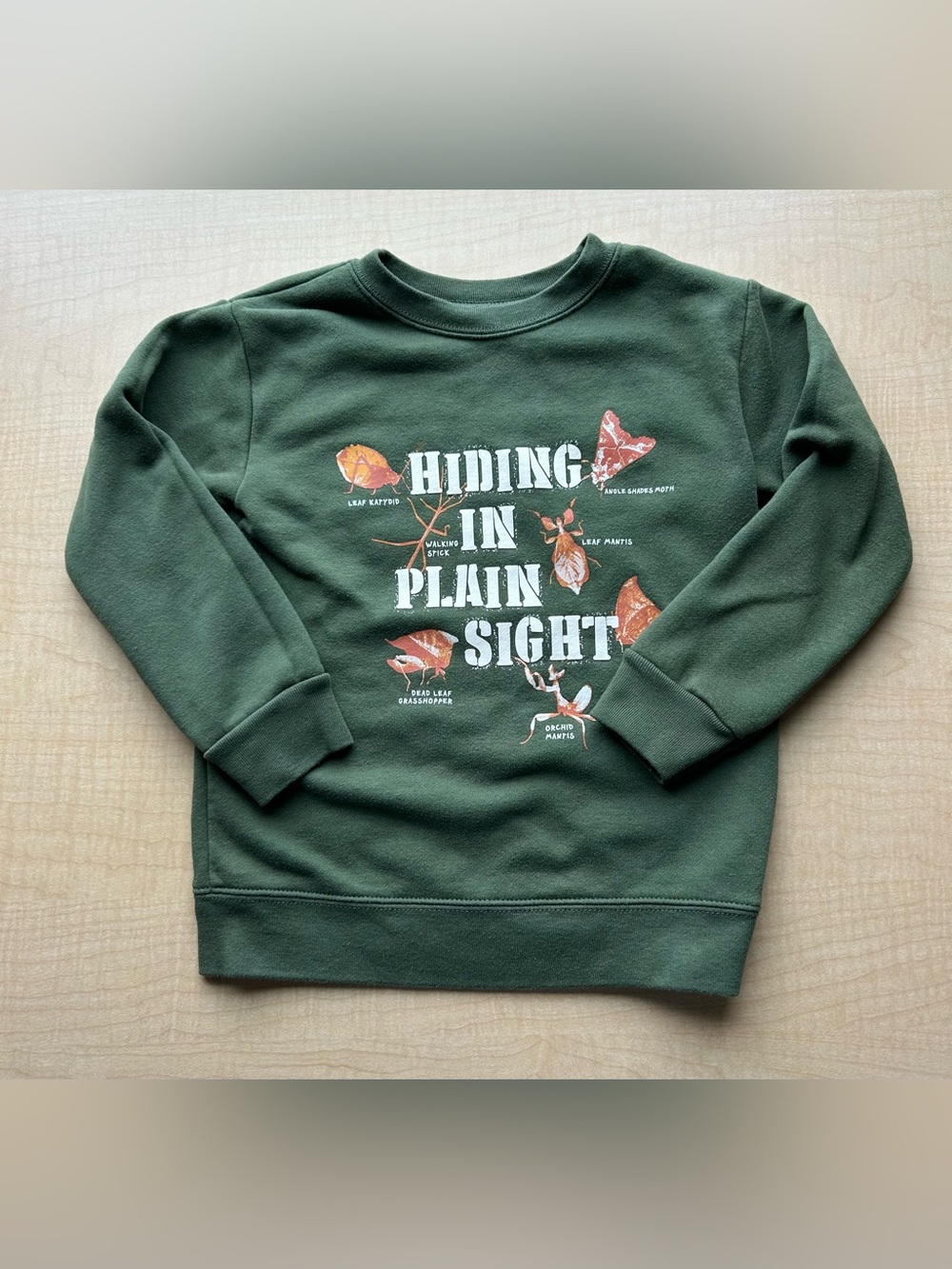 Garanimals Toddler Boys 4T Hiding in Plain Sight Green Insect Bug Sweatshirt